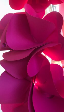 whatsapp image 2020-08-30 at 10 whatsapp image 2020-08-30 at 10